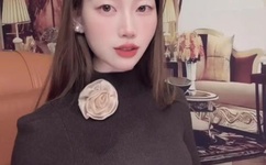 100款夜间禁用入口网页破解